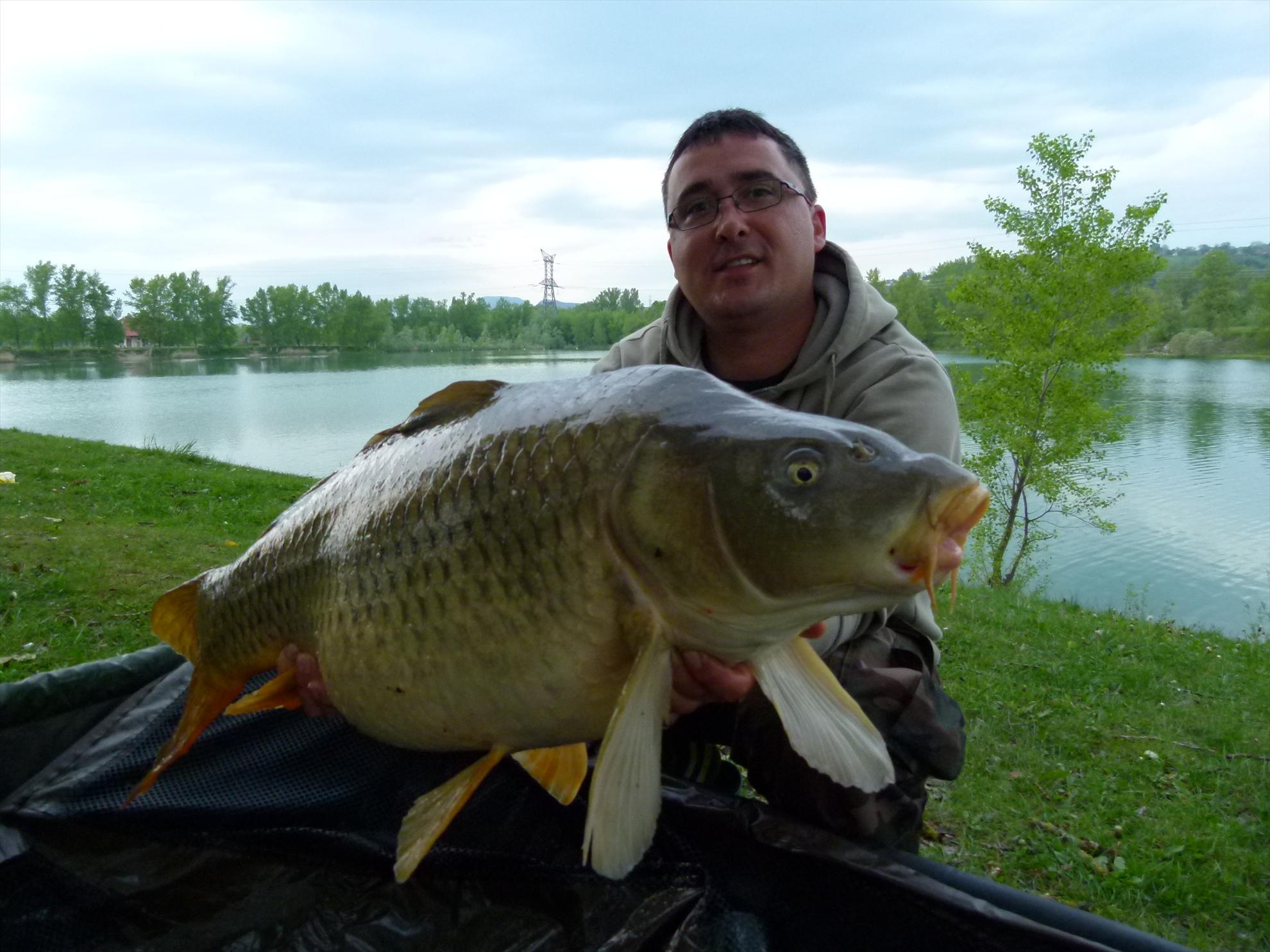 THE BIGS OF 2012 - p1000030.JPG